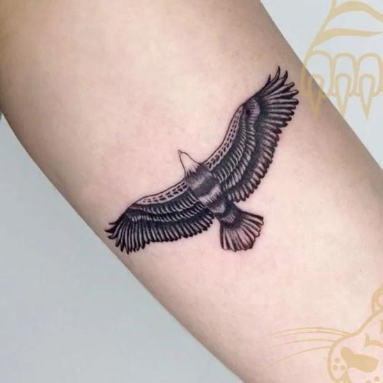 Tiny minimalistic style condor tattoo located on the