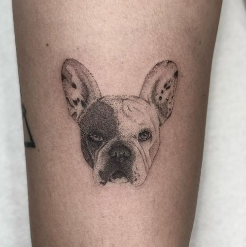 spotted ear french bulldog tattoo