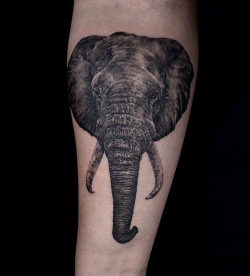 Premium Photo | Elephant head celtic symbol tribal tattoo design dark art  illustration isolated on white