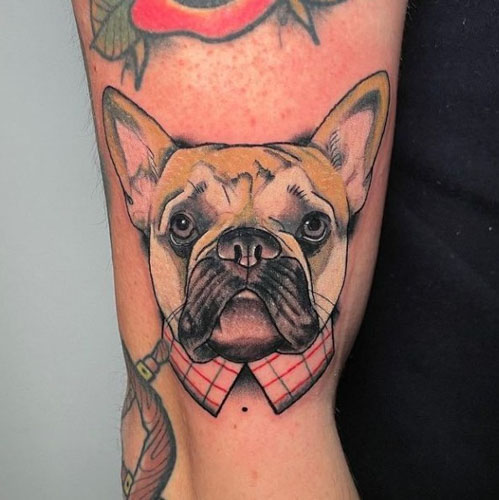 vibrant french bulldog with collar tattoo