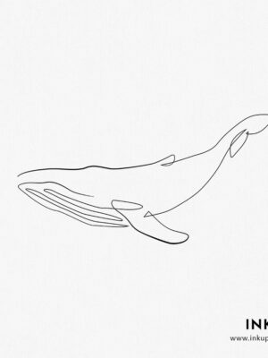 whale line design illustration