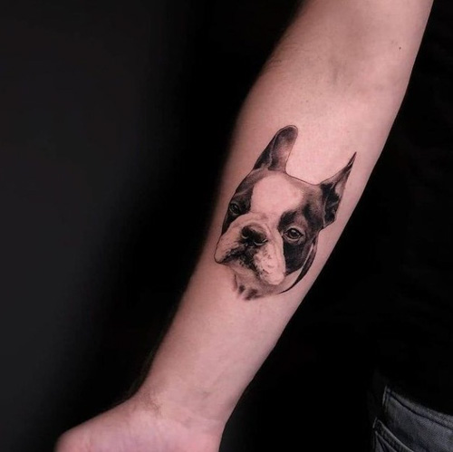 white with black frenchie pet tattoo