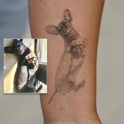 wiener dog laying tattoo